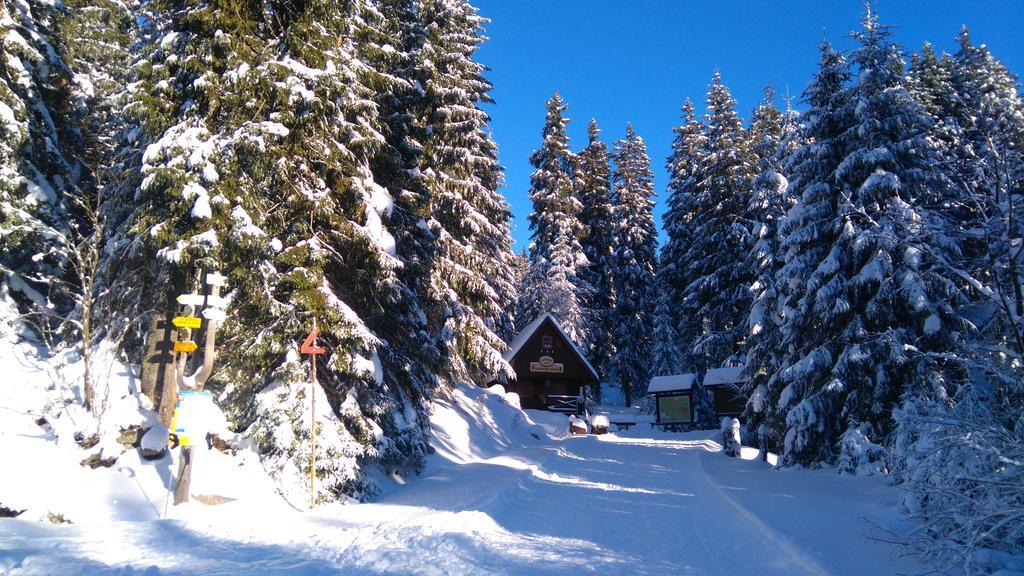 Pension Ploc Harrachov Exterior foto